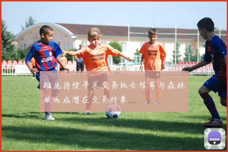 雄鹿持续寻求交易机会绿军与森林狼或成潜在交易对象