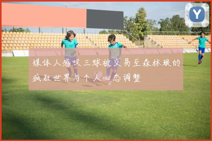 媒体人感叹三球被交易至森林狼的疯狂世界与个人心态调整